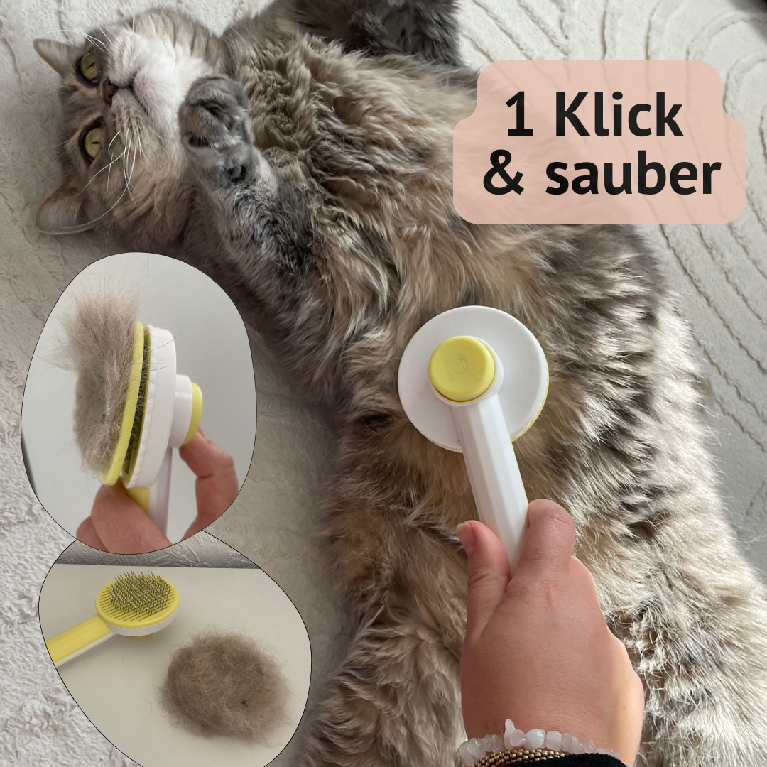 Selbstreinigende Fellbürste