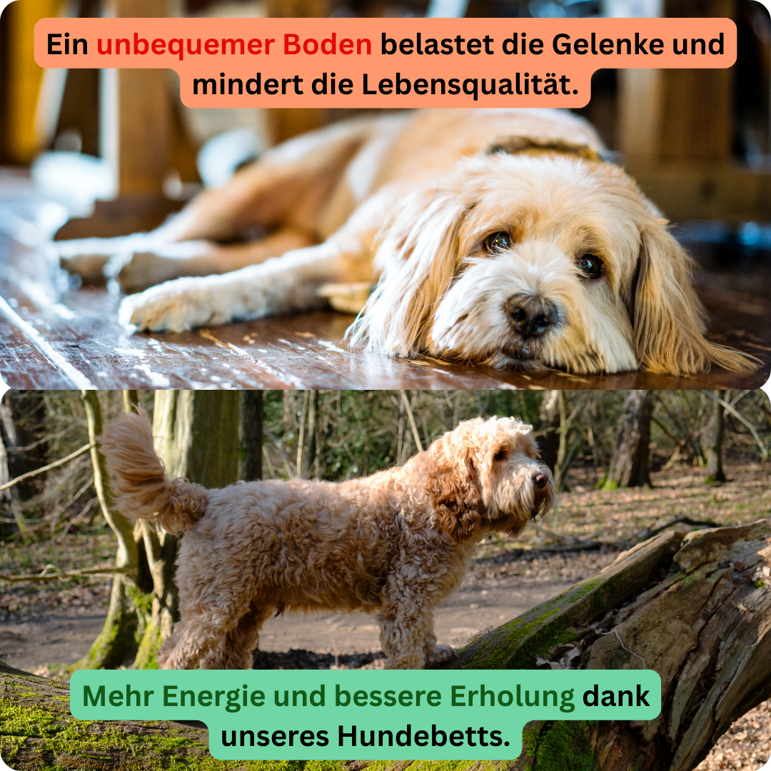 Anti-Stress-Haustierbett